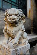 Image result for Pingyao Animal