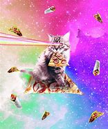 Image result for Flying Pizza Laser Cat
