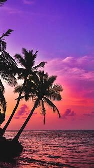 Image result for Sunset Phone Wallpaper