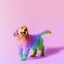 Image result for Rainbow Dog Art