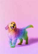 Image result for Rainbow Dog Background
