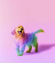 Image result for Rainbow Dog Meme Cool