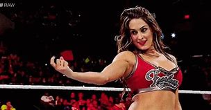 Image result for Nikki Bella in WWE