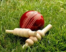 Image result for Pakistan Cricket Bat