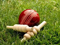 Image result for Cricket Pitcher