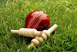 Image result for Cricket Bails