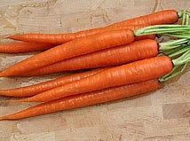 Image result for Things That Are Always Orange
