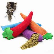 Image result for Catnip Toy