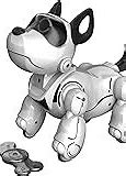 Image result for New Robot Dog