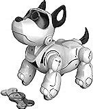 Image result for Aibo the Robot Dog