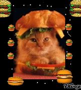 Image result for Cheeseburger Cat Meme