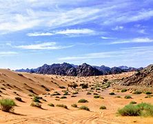 Image result for Arabian Landscape