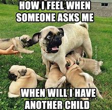 Image result for Great Job Pug Meme