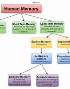Image result for Human Memory Process