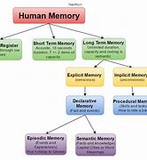 Image result for Parts of the Memory