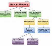 Image result for Study of Memory in Psychology