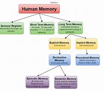 Image result for Theory of Memory in Psychology