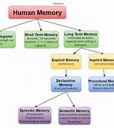 Image result for Human Memory Psychology