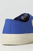 Image result for Veja Sneakers Light Blue