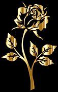 Image result for Gold Rose Drawing