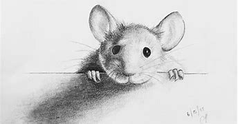 Image result for Cute Mouse Sketches