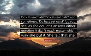 Image result for Let the Bat Eats the Cat