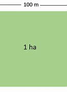 Image result for How Many Square Meters in a Hectare