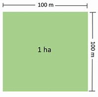 Image result for What Is 1 Hectare