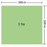 Image result for How Big Is 70Um