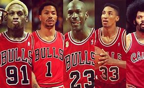 Image result for Chicago Bulls Team Players