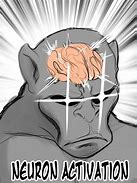 Image result for Brain Activation Meme