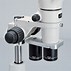 Image result for Nikon Microscope Camera