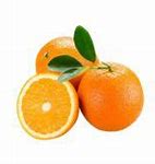 Image result for Orange Fruit Solated