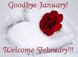 Image result for Adios January