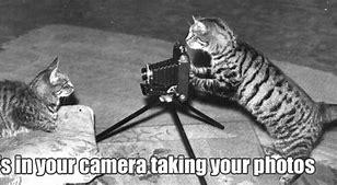 Image result for iPhone Camera Joke