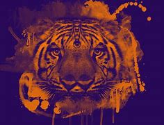 Image result for Trippy Tiger