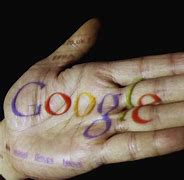 Image result for Google Palm Logo