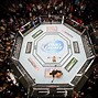 Image result for MMA Octagon Cage