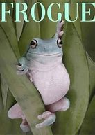 Image result for Happy Frog Meme