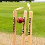 Image result for Cricket Stumps