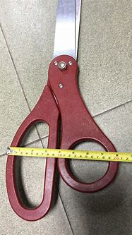Image result for Giant Scissors