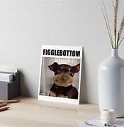 Image result for Figglebottom Dog Meme
