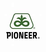 Image result for Pionier Logo