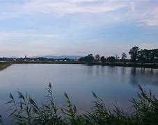 Bildergebnis für jezioro_goczałkowickie