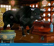 Image result for Bull in Shop Pics