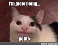 Image result for Polite Cat Meme Image