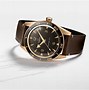 Image result for Omega Watch Seamaster 300