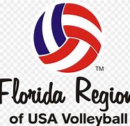 Image result for USA Beach Volleyball Logo