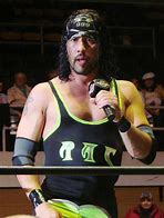 Image result for Former WWF Wrestlers