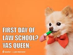 Image result for Happy First Day Meme